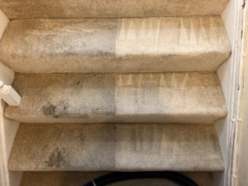 a carpeted stairway being cleaning in surprise